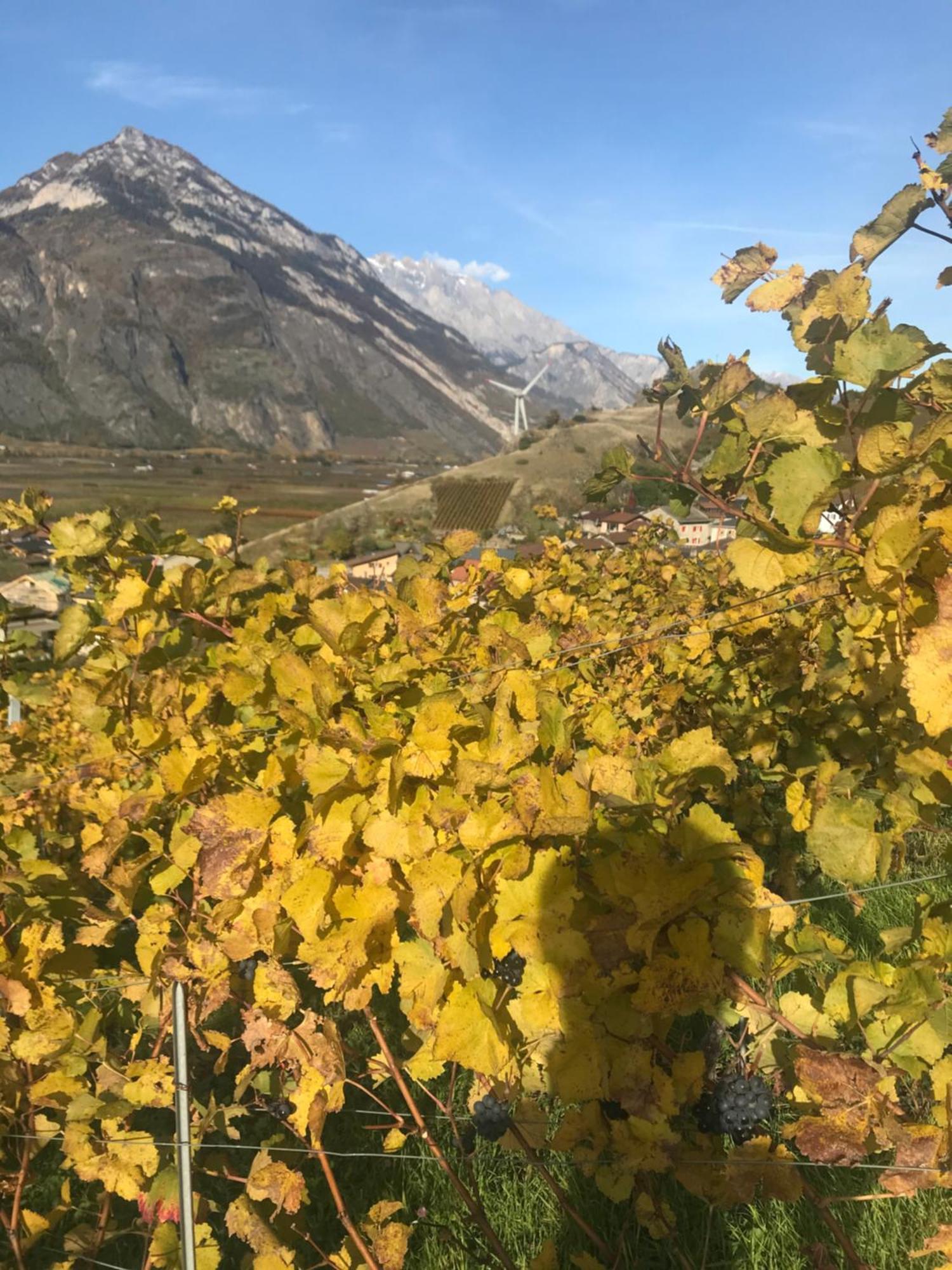 Studio Martigny Taou Экстерьер фото